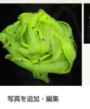CHACHAさんの画像