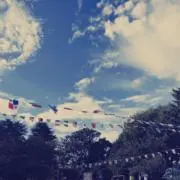 ちにゃ118の画像