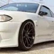 Silvia Whiteの画像
