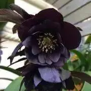 まな☆即購入歓迎の画像
