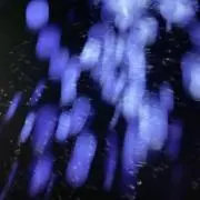 ゆるの画像