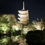 ジユウの画像