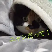 imaxの画像