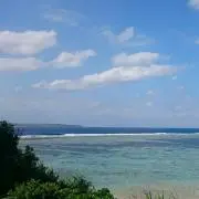 はる☆はるの画像