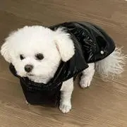 りくゆせ