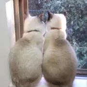 kerori_na ⚠️プロフ必読お願いの画像