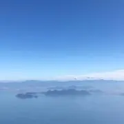 ニャンコ