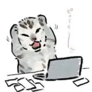 さいかの画像