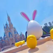 ぽちゃの画像