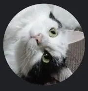汐瀬：プロフ必読の画像