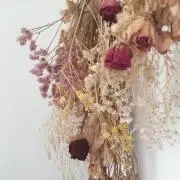 yuki26の画像