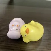 ぴこの画像
