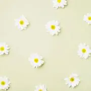 KOROの画像