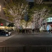Hoayaの画像