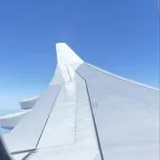 MIIIの画像