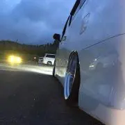 ナカボウの画像