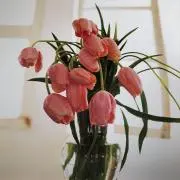 coco⭐︎の画像