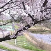 ふくちゃん