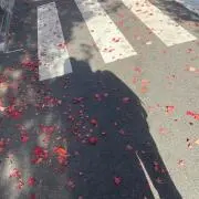 aoaoaoaoの画像