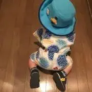 がんこちゃん