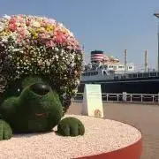 よっちゃん プロフィールお読みくださいの画像