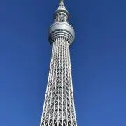 スカイの画像