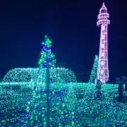 ひろみんの画像