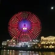 miniの画像