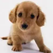 りょう（の画像