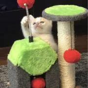 れみの画像