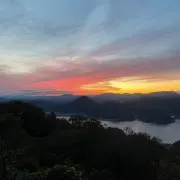 TTの画像