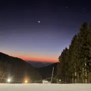 chi41の画像