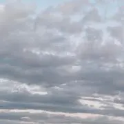 いちの画像