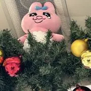 ほうじ茶