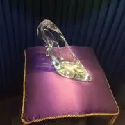 みーの画像