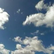 コビーの画像