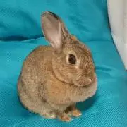 まぁ