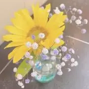 もんちゃん
