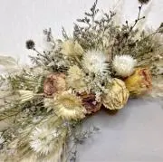 Cottonの画像
