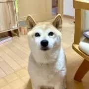 らんたろ