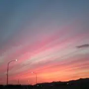 あここの画像