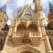 jeraの画像