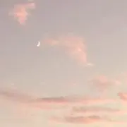 あっぷるぱいの画像