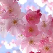 岩ちゃんの画像