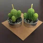 チビの画像