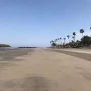 とんの画像
