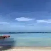 Gewonの画像