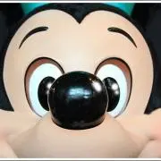 ペケの画像