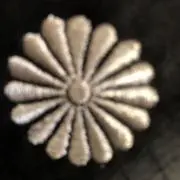 ワンピース