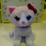 ナツハンヌの画像